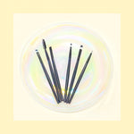 Black Makeup Brushes 6 Pieces Set