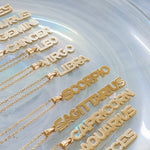 Too Obvious Zodiac Necklace
